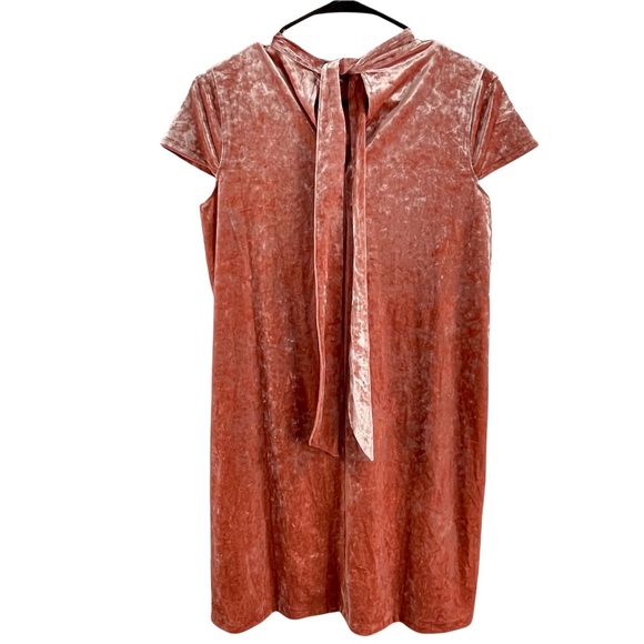 Madewell Crushed Velvet Mockneck Dress - Picture 4 of 5